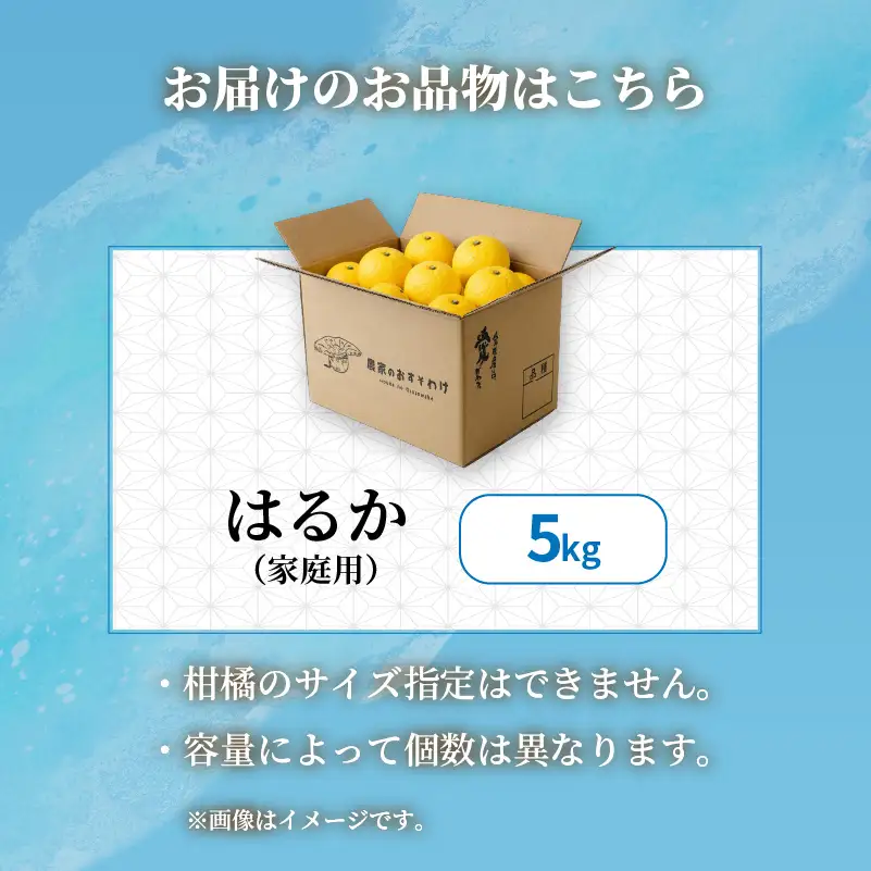 【2027年2月中旬から順次発送】はるか 5kg  家庭用 みかん 柑橘 【RNK028】