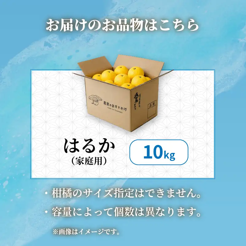【2027年2月中旬から順次発送】はるか 10kg  家庭用 みかん 柑橘 【RNK029】
