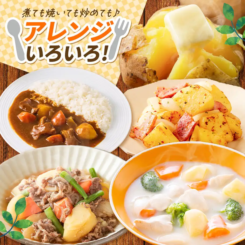 じゃがいも詰め合わせセット 3kg 10種のうち3種をお届け《9月上旬-12月末頃出荷予定》