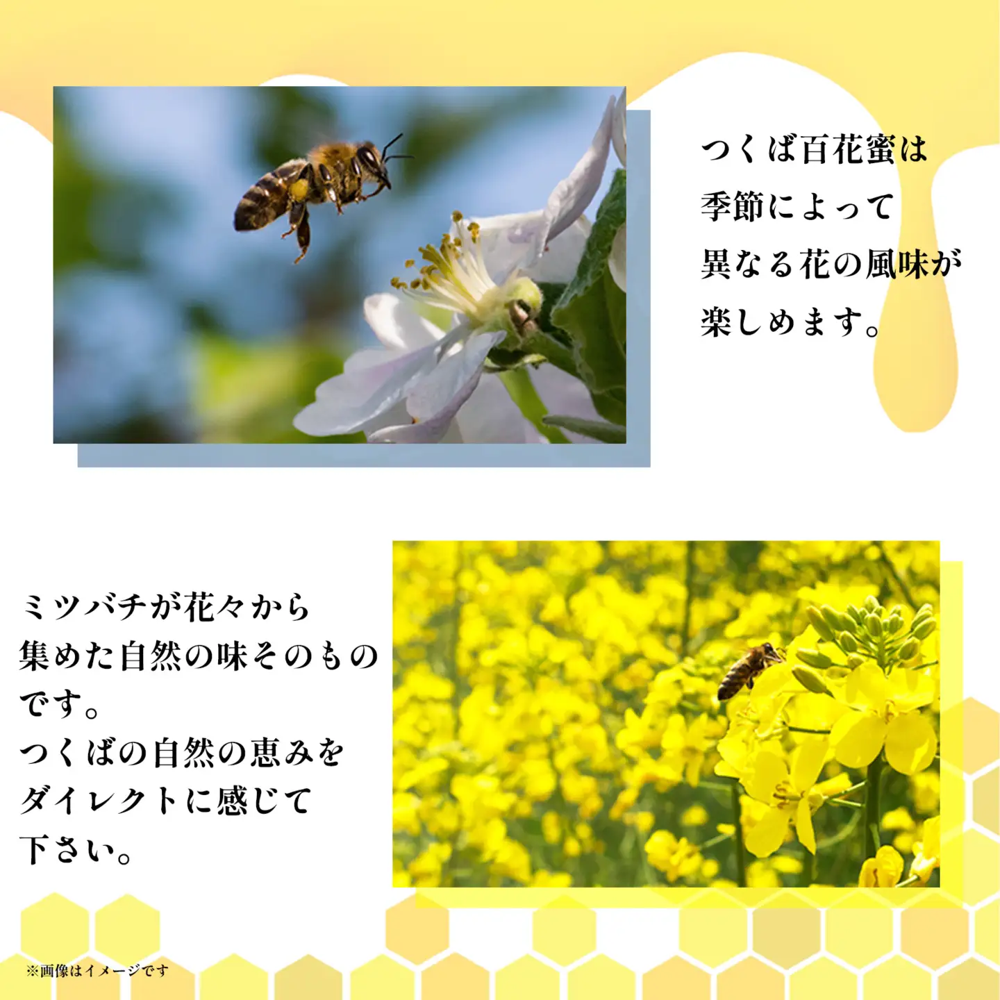 百花はちみつ 150g×2本 計300g はちみつ 生はちみつ