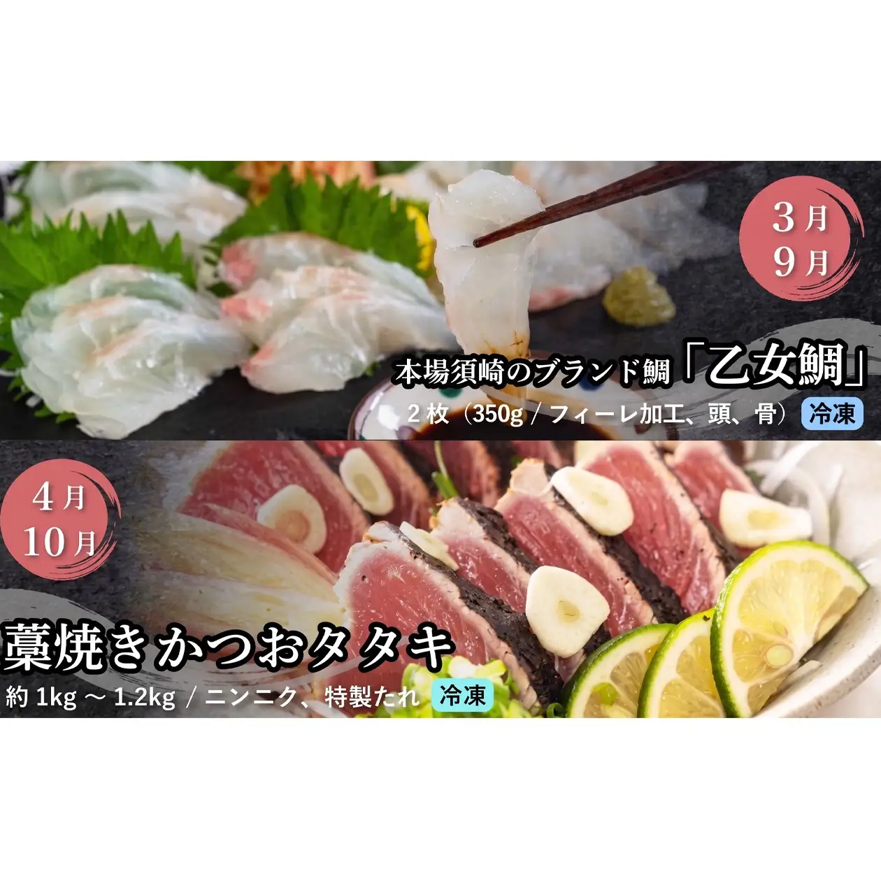 【冷凍】 刺身 定期便 6ヶ月 小島水産 がお届けする！ 美味しい お刺身 大容量 コース 