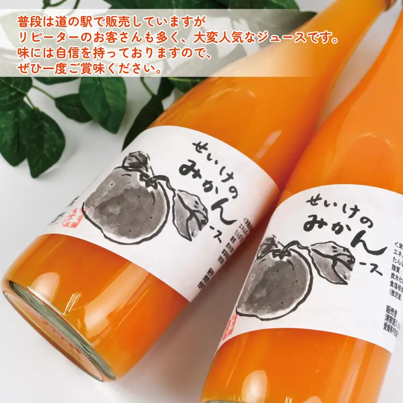 温州みかんジュース 720ml × 2本 贈答用 清家 100％ジュース ストレートジュース ストレート ギフト 柑橘 みかん 温州みかん ジュース mikan ミカン 爽やか 愛媛ミカン 甘い 温州 愛媛みかん 宇和島産 果汁 飲料 果物 くだもの フルーツ 国産 愛媛 宇和島 H010-170005