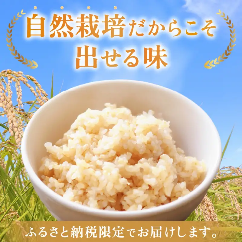 【先行予約】【令和8年産】【定期便】≪6ヶ月連続お届け≫ コシヒカリ 玄米 5kg×6回 （計30kg）化学肥料 農薬不使用 自然栽培米 / 北陸 福井県産 あわら市 ブランド米 玄米 お米 コメ ※2026年10月上旬以降順次発送予定 [aw138-k001]