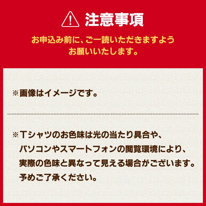 第41回三浦国際市民マラソン大会記念グッズ「オリジナルTシャツ」（Sサイズ） M037-017-01 三浦国際市民マラソン 三浦市民マラソン Tシャツ