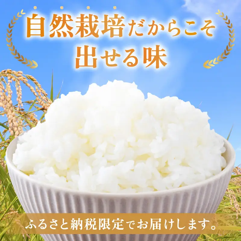 【先行予約】【令和8年産】【定期便】 ≪6ヶ月連続お届け≫ コシヒカリ 精米 5kg×6回 （計30kg） 化学肥料 農薬不使用 自然栽培米 / 北陸 福井県産 あわら市 ブランド米 白米 お米 コメ ※2026年10月上旬以降順次発送予定 [aw138-k002]