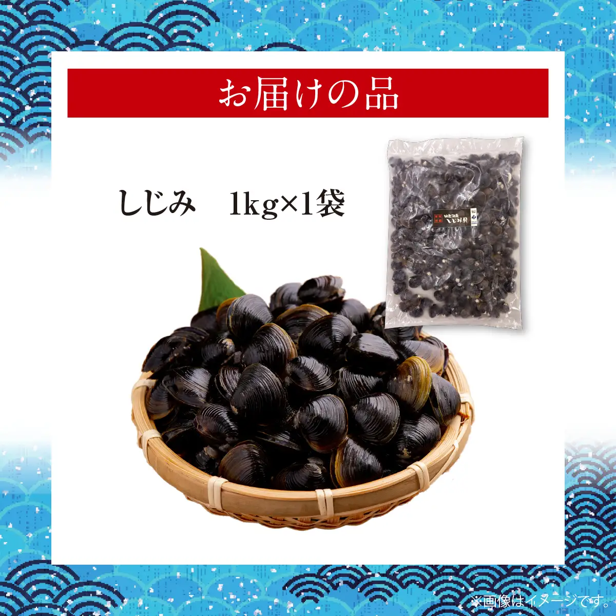 網走湖産冷凍しじみ貝　1kg×1袋　砂出し済み ABB207