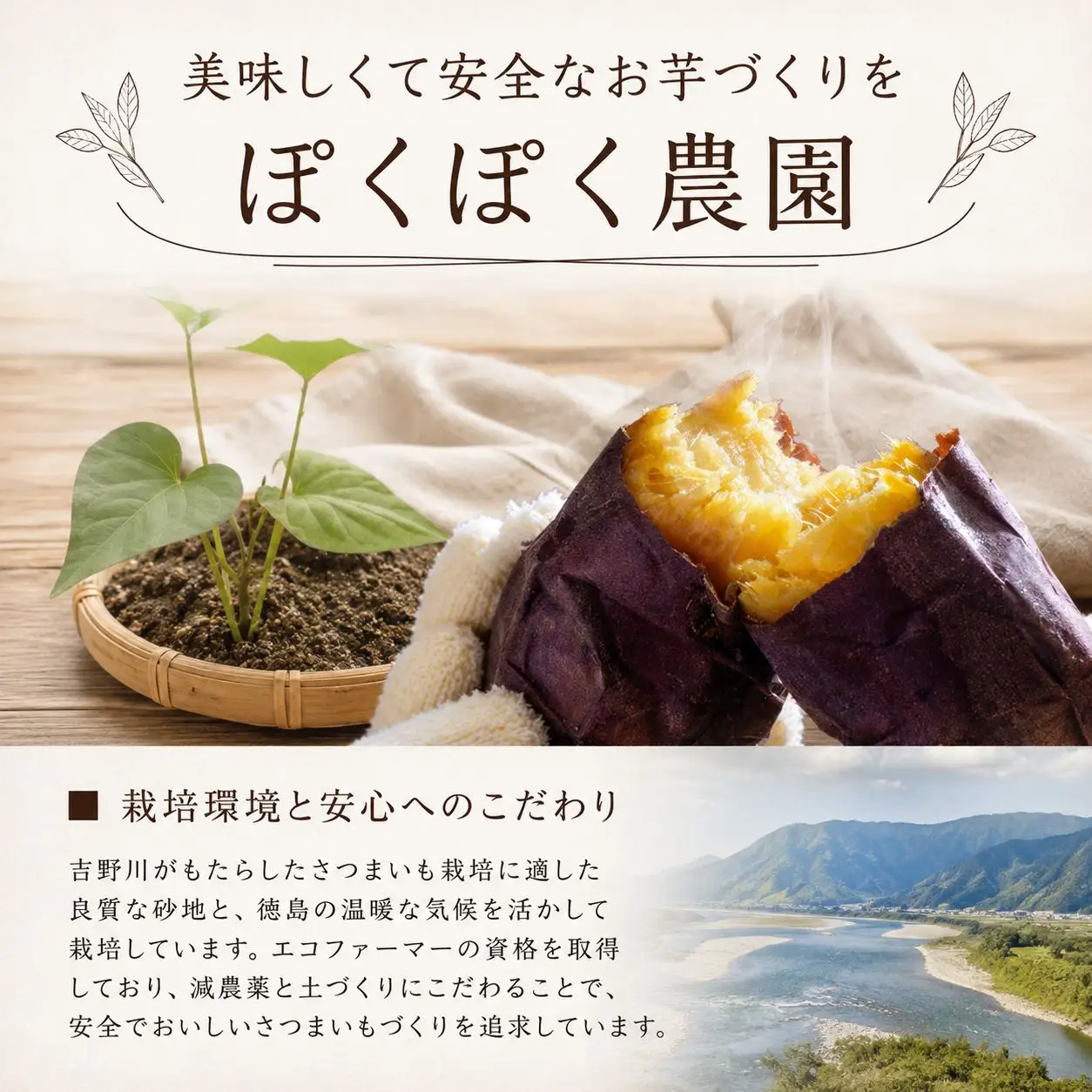 訳あり 紅はるか 5kg 甘三郎