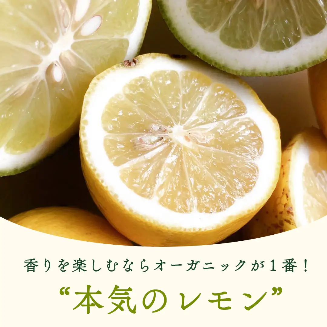 【先行予約】 瀬戸内オーガニックレモン約1kg定期便 月1回×3回 12月以降発送 有機JAS認証 果物 皮まで使える 国産 通販 お取り寄せ
