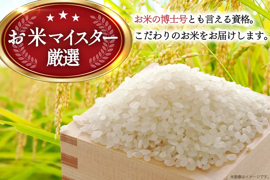 米 生活応援米 宮城県産 ひとめぼれ 5kg