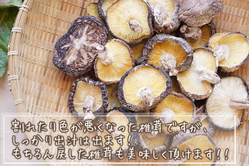 しいたけ 乾燥 椎茸 130g