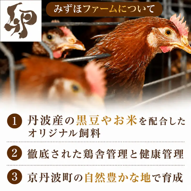 京丹波バターチキンカレー12食 カレー レトルト 鶏肉 レンジ