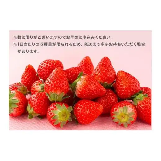岡戸農園　いちご（4パック）＊「あきひめ」あるいは「紅ほっぺ」数量限定 16ｰ7 ※2027年1月～発送