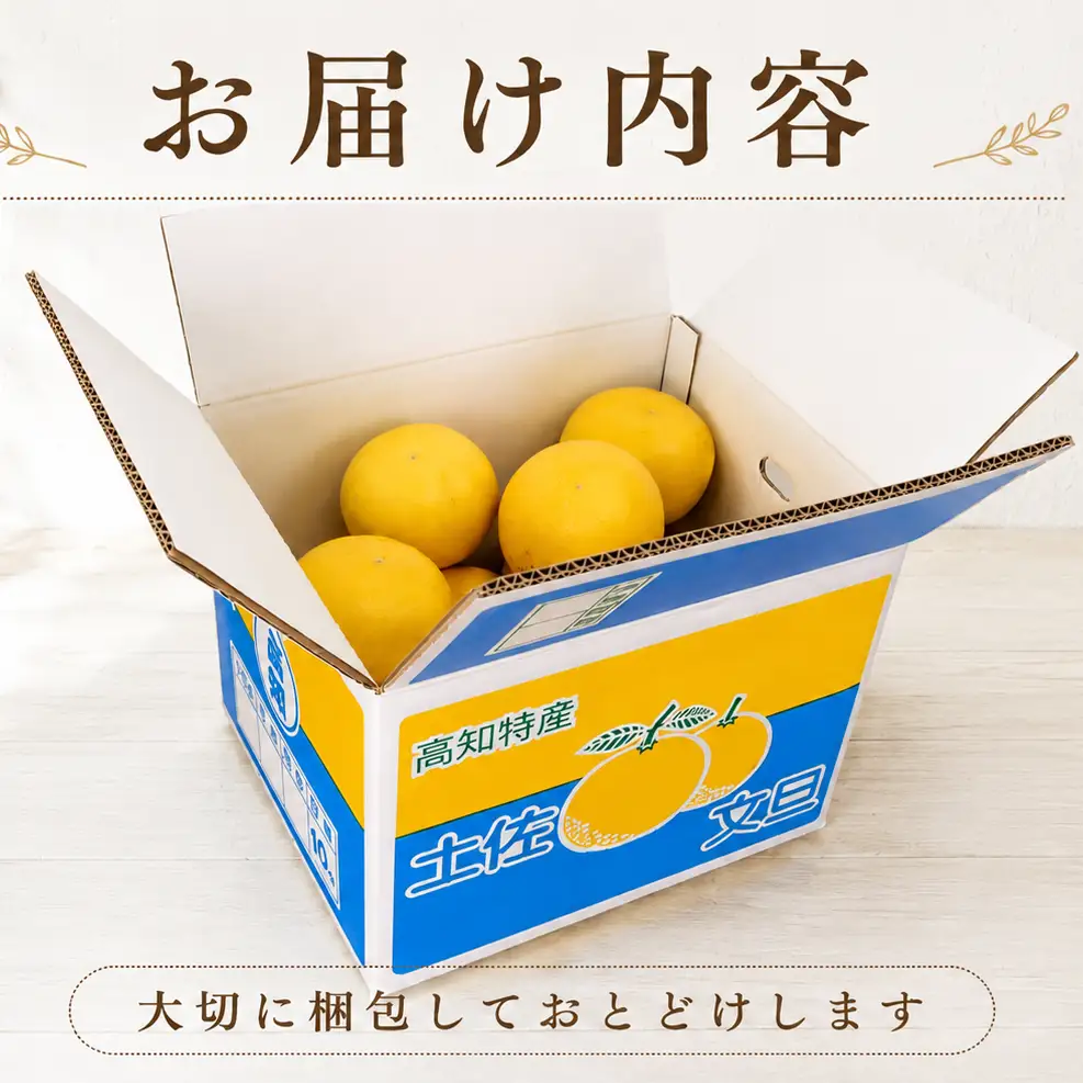 文旦 5kg 家庭用 中井農園
