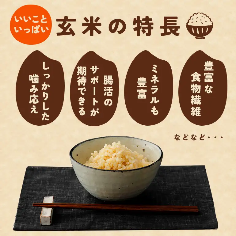 玄米 米 定期便 10kg 12ヵ月 令和8年産 にじのきらめき お米 FH-032