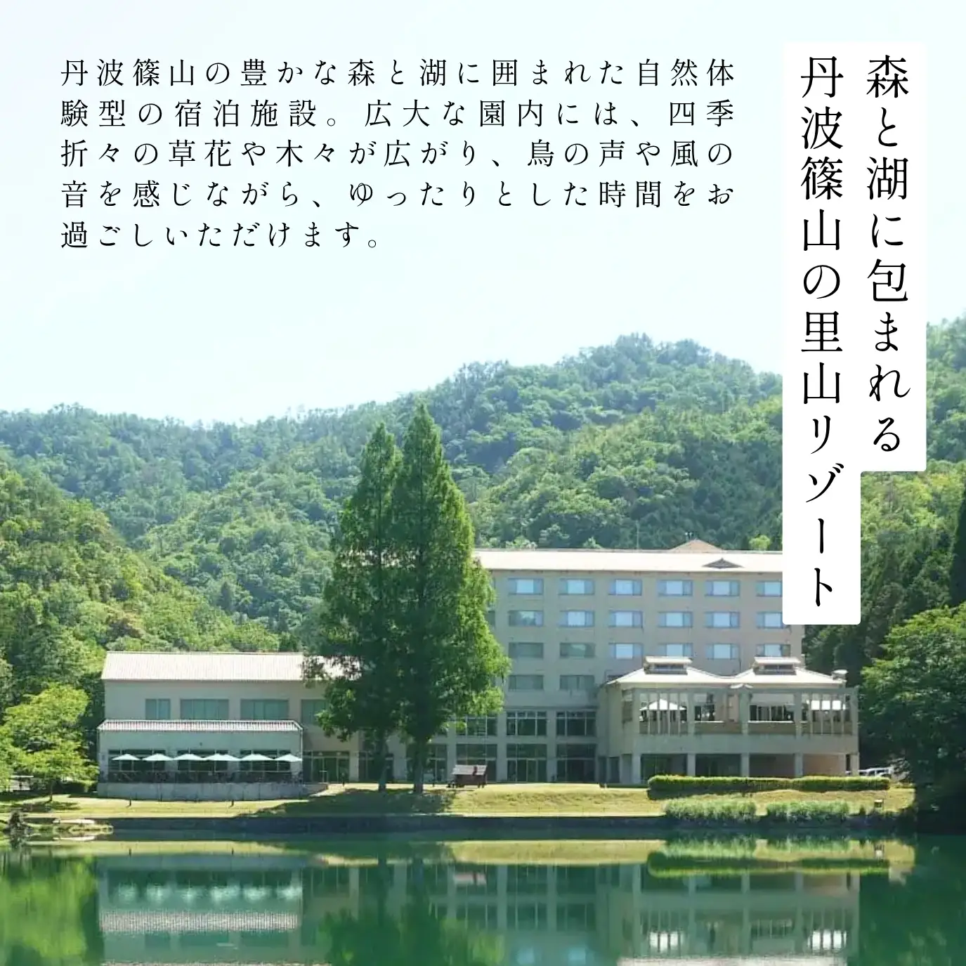 ユニトピアささやま 〈ユニトピアささやま ペア食事券〉ご当地会席 松茸 ぼたん鍋 神戸牛