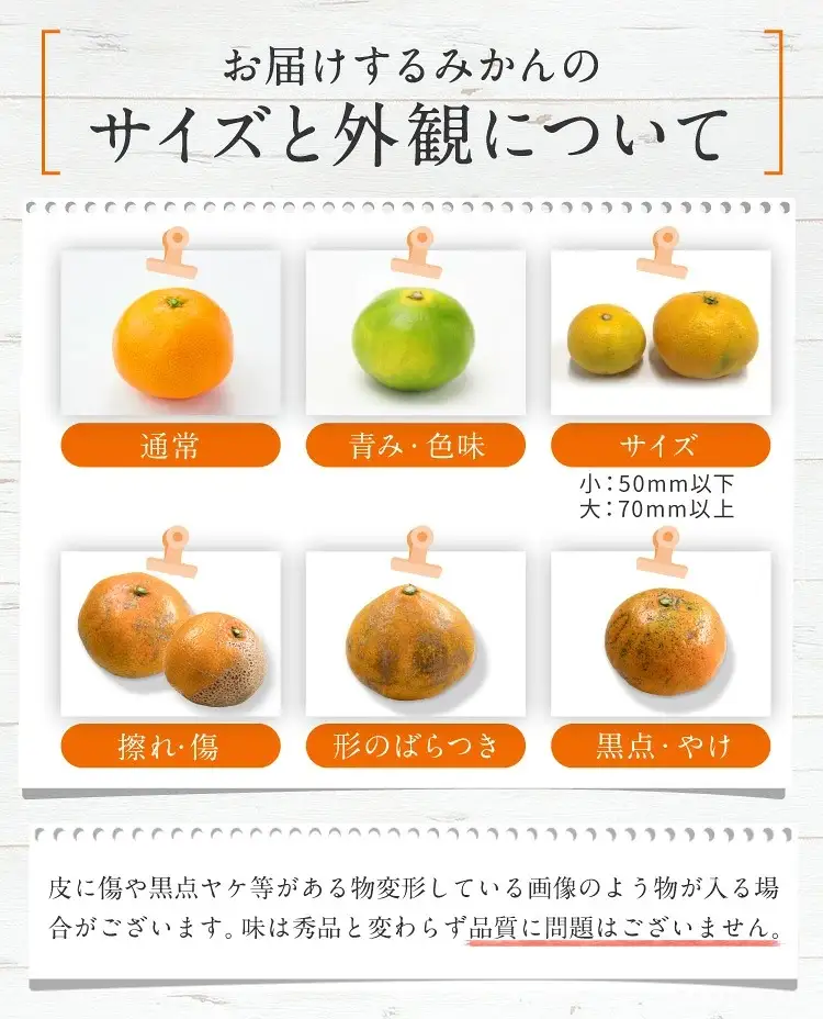 訳あり みかん 約5kg ｜iFARM岩城農園