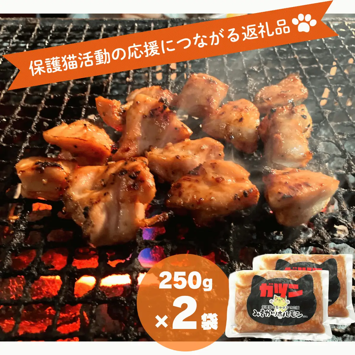 ガツんとみそガツホルモン【保護猫活動につながる返礼品】