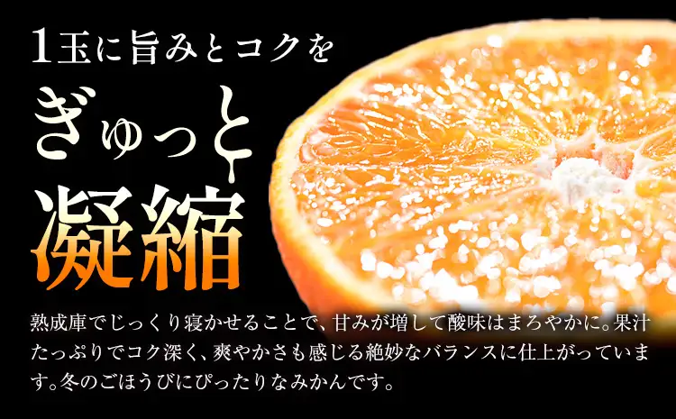 【先行予約】極みかん2kg お試し簡易包装