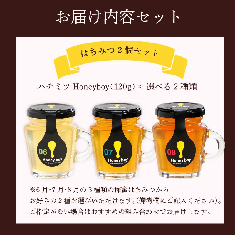 【国産 はちみつ 】 Honeyboyシリーズ 2個 ふじのくに 新商品 コレクション 最高 金賞 受賞 静岡県 牧之原市 河村養蜂場