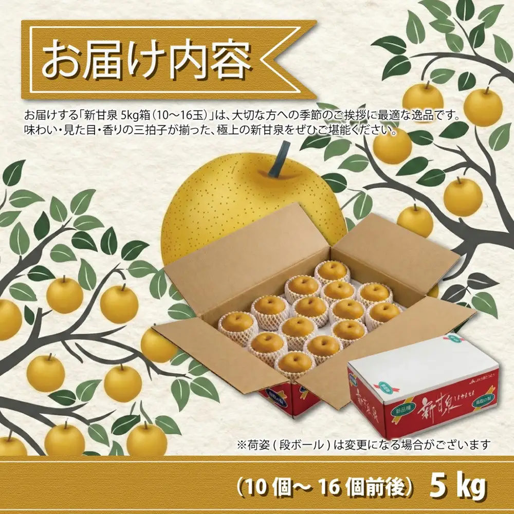 東商果樹園 新甘泉(赤秀)5kg(８月下旬から発送）