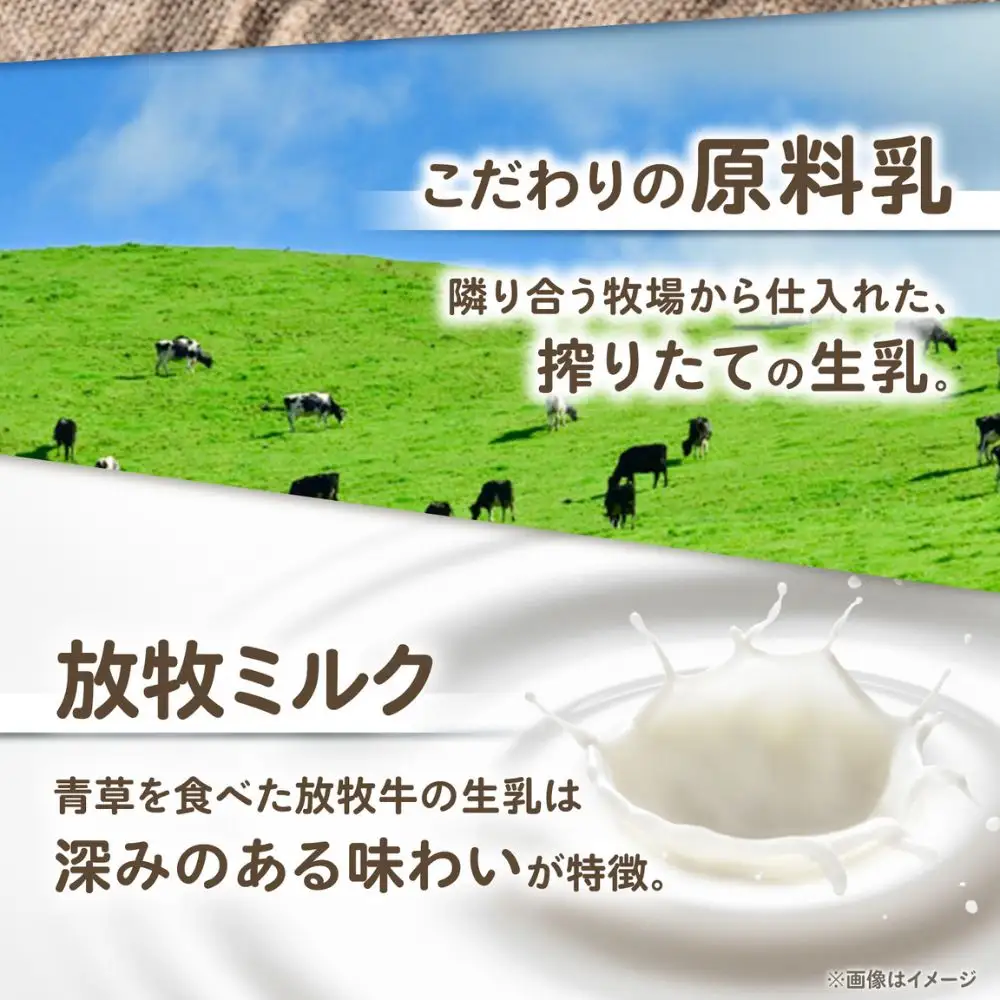 3回定期便 北海道 チーズ 幸 個包装4－6個 計1.5kg[BEAK038 ]