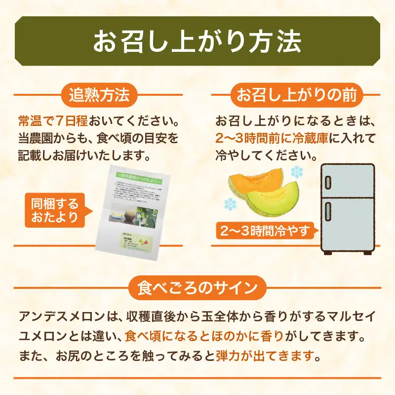 【先行予約】紅白アンデスメロン 青肉・赤肉 食べ比べセット ４L(1玉1.3kg以上）×2玉 ／ 果物 フルーツ 産地直送 糖度 ギフト 贈り物 福井県あわら市 ※2027年6月中旬以降順次発送 [aw067-a006]