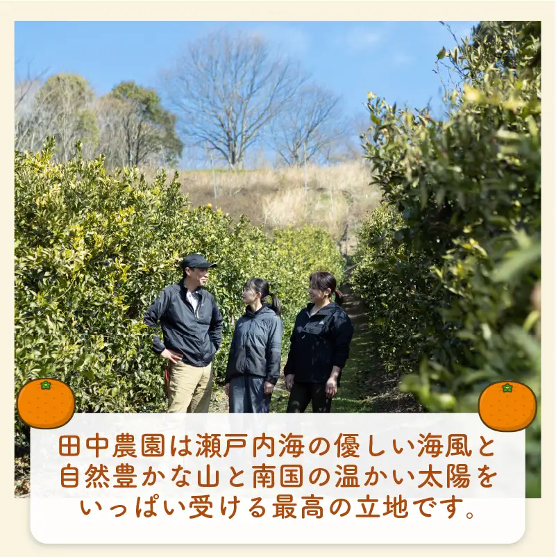 【2027年2月上旬頃から順次発送】 せとか 贈答用 約3kg みかん ジューシー 田中農園 【TNN015】