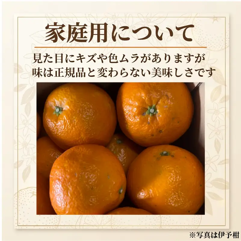 【2027年2月上旬頃から順次発送】 せとか 家庭用 約3kg みかん 田中農園 【TNN016】