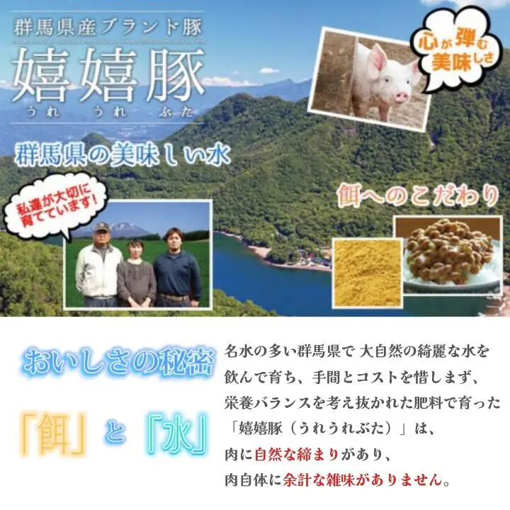 嬉嬉豚＆牛カルビ 小分けで便利♪ タレ漬け 2kgセット