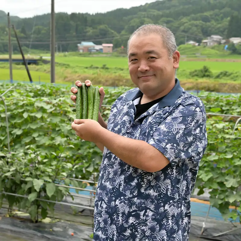 きゅうり 約5kg 山形県 戸沢村産 野菜 夏野菜 胡瓜 キュウリ 産地直送 F7W-0502