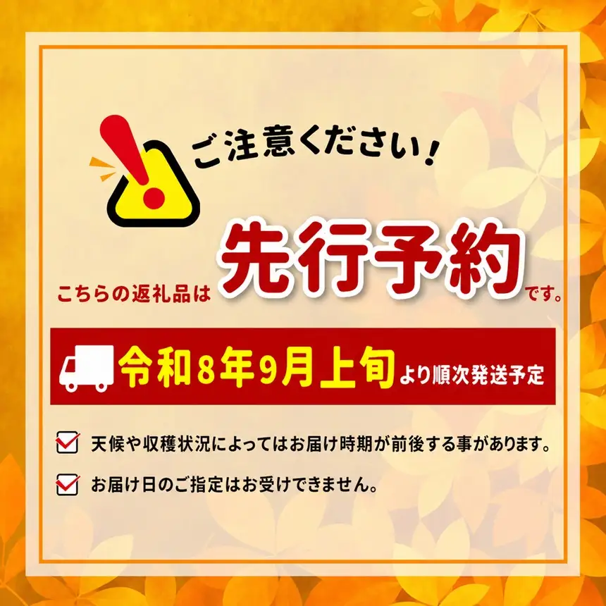 【9月上旬から発送予定】南信州生まれのジューシーで甘い梨「南水梨」 約2kg 5～6玉 糖度14.0以上