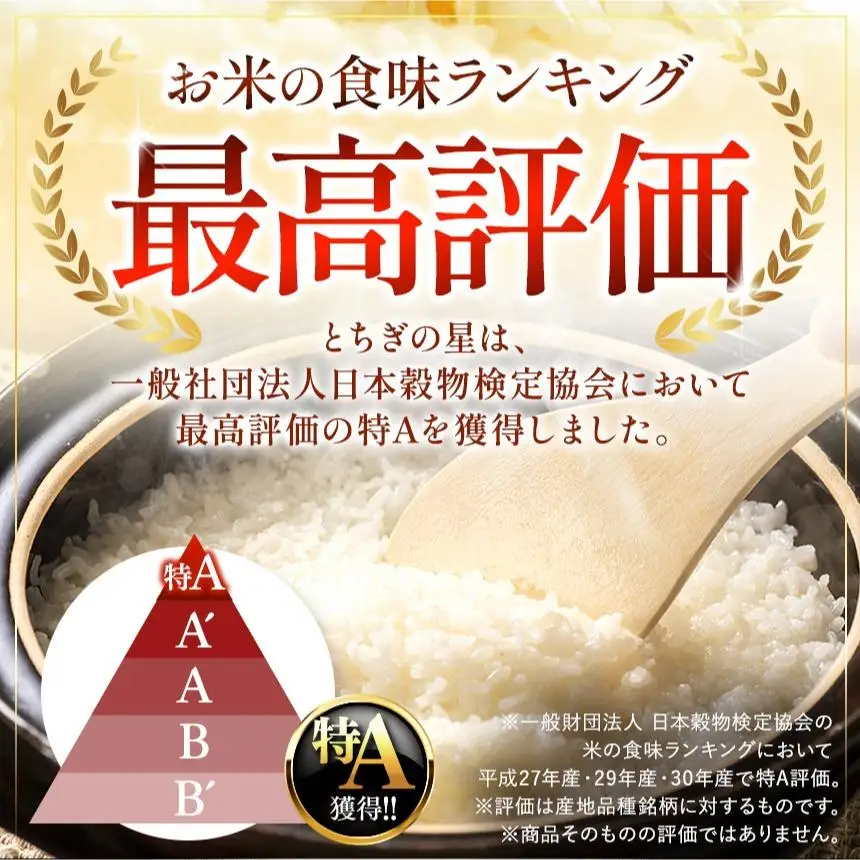 【お試しサイズ】パックごはん とちぎの星 栃木県矢板市産 お米 100％ 150g×2個