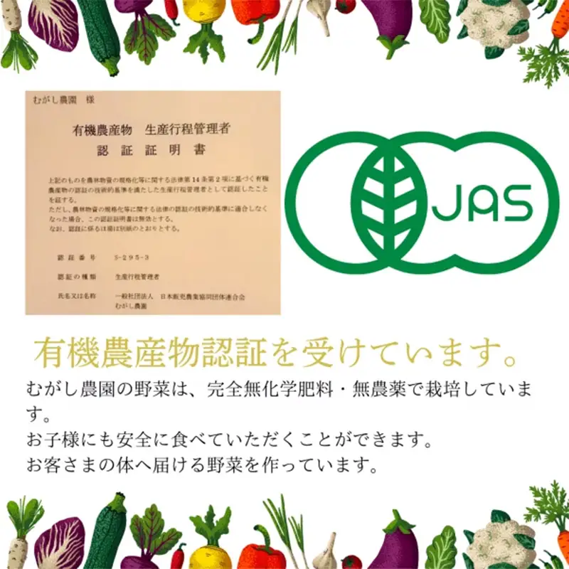 有機JAS ミニトマト 約2kg 【むがし農園】 自然栽培 オーガニック 朝採り 完熟 フルーツトマト 有機栽培 無農薬 無化学肥料 野菜 青森県 三戸 南部町 F21U-711