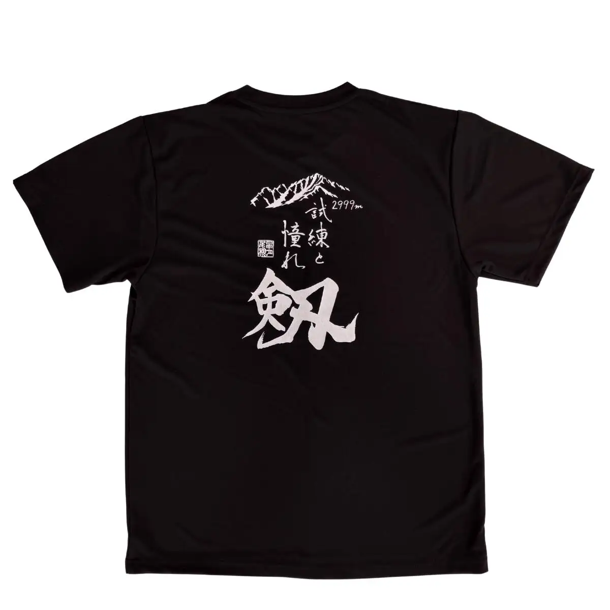 Tシャツ 【試練と憧れ】 半袖 剱岳 ドライTシャツ ブラック Mサイズ / MOT・かみいち盛り上げ隊 / 富山県 上市町 [32280131-m] 剱岳 半袖 シャツ Tシャツ ティーシャツ てぃーしゃつ 登山 マラソン 