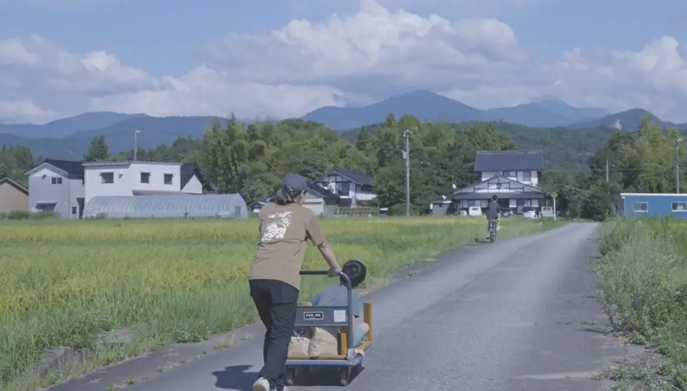 【令和7年産】上市町産コシヒカリ「剱米」（白米）5kg　 [ソムリエH 富山県 上市町 32280236-r6-03] 　お米 コメ ご飯 ごはん ご飯 ごはん こしひかり