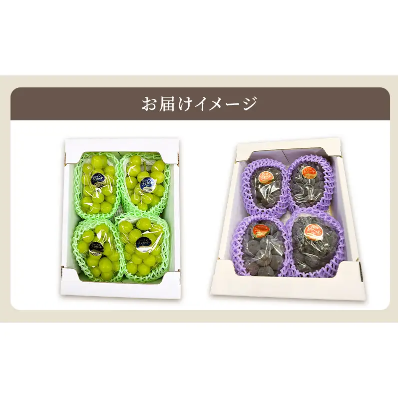 2回定期便 贈答用 シャインマスカット約2kg(3-4房)×ニューピオーネ約2kg(3-4房) 岡山県高梁市産 うめづぶどう園 化粧箱入り 葡萄 ブドウ 大粒  配送不可：北海道、沖縄、離島