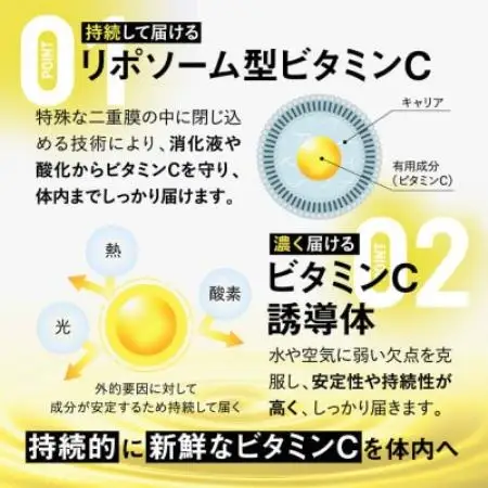 【毎月定期便】ビタクリアC リポソームビタミンC配合 ビタミンC1,000mg 180日分全4回【4090404】