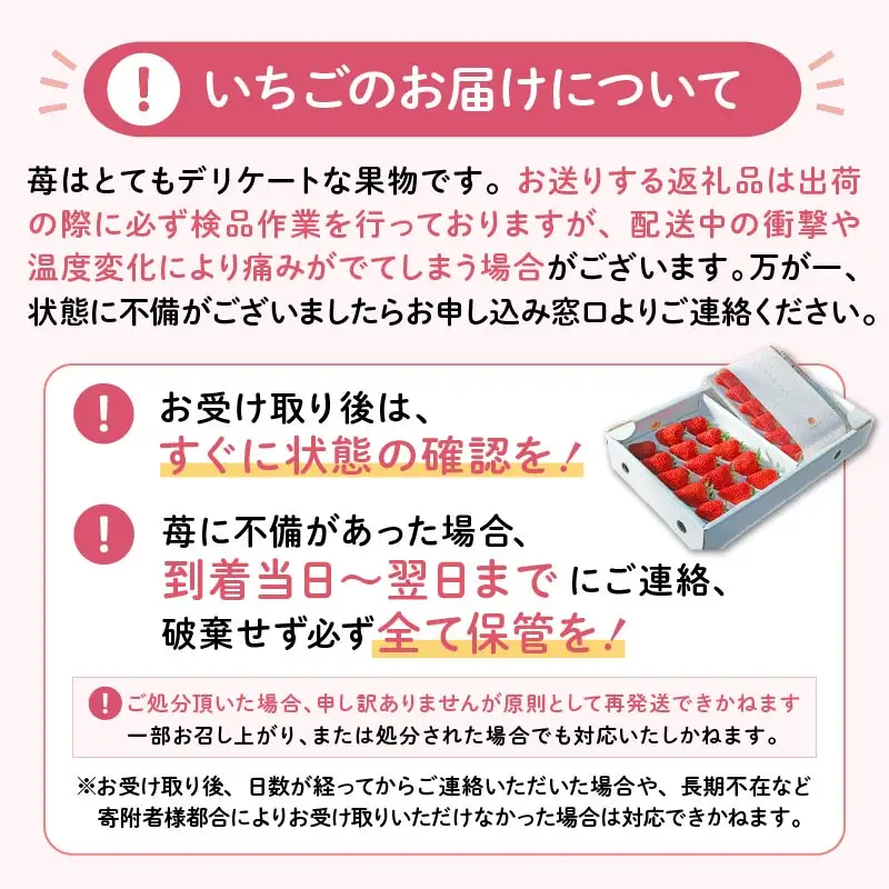 【2027年1月発送】いちご 完熟 紅ほっぺ 2パック