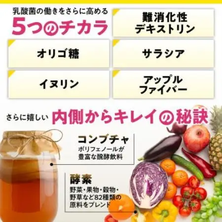 【毎月定期便】乳酸菌サプリナノ型乳酸菌10兆個＆ビフィズス菌配合菌活すっきり180日180粒全4回【4090418】
