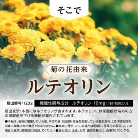 【毎月定期便】ルテオリンサプリメント キニシナイトGOLD　尿酸値ケア 180日(180粒)全4回【4090422】