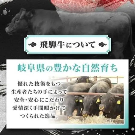【毎月定期便】【訳あり】飛騨牛切り落し焼肉用600g全3回【配送不可地域：離島】【4090432】