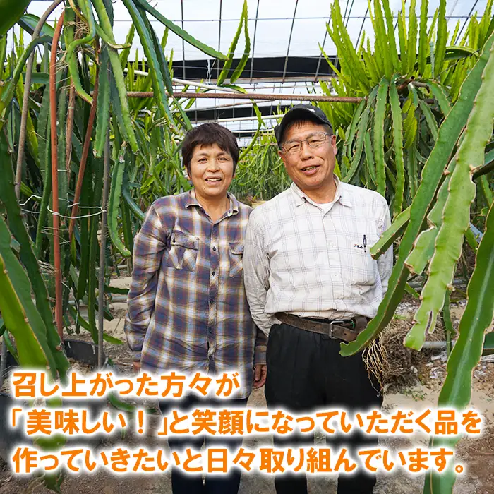 完熟 極早生 みかん 訳あり (おおいた早生)  約3kg 【木戸農園】 11月 果物 フルーツ 数量限定 期間限定 九州 大分県 ＜113-013＞