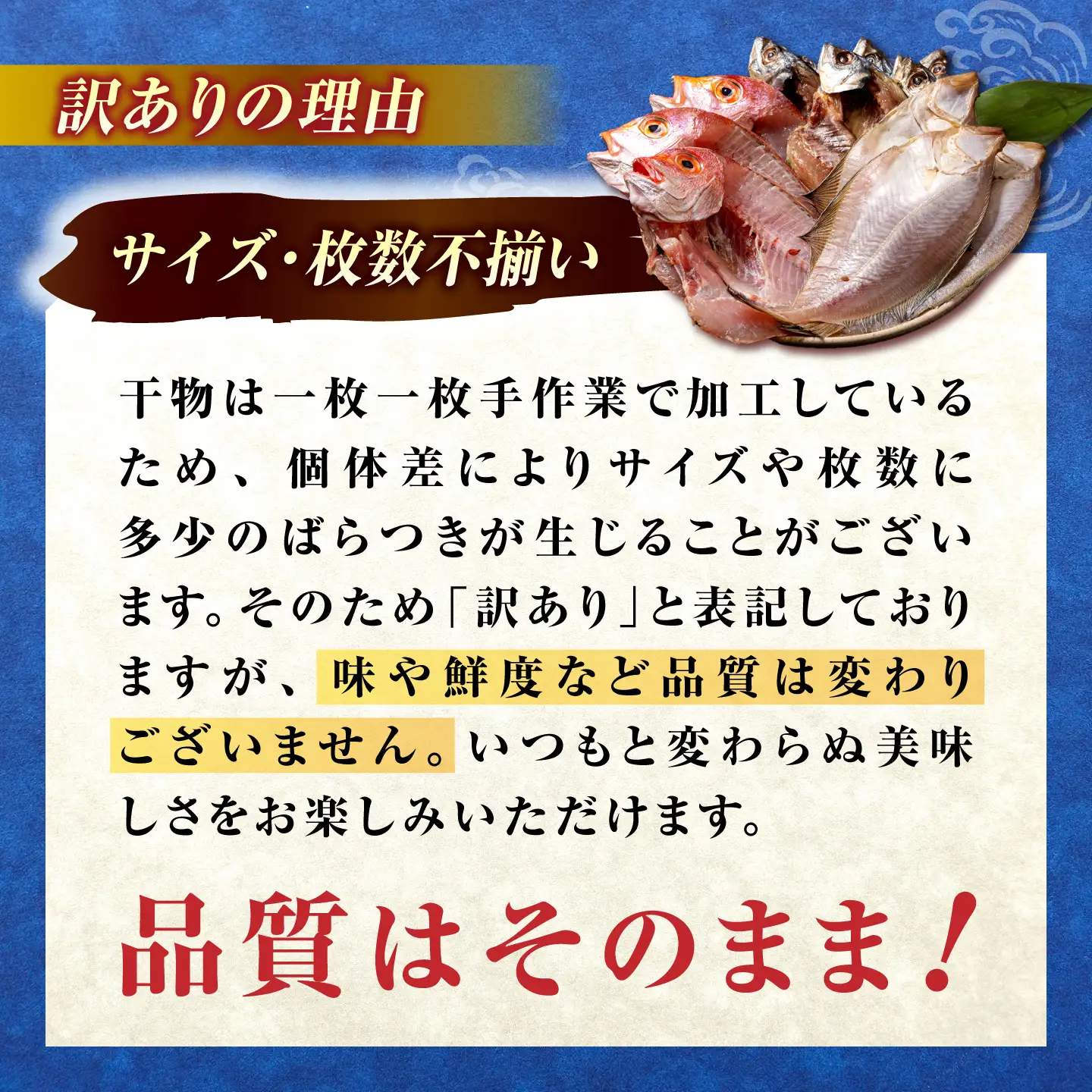 訳あり 旬 干物 詰め合わせ 800g 干物