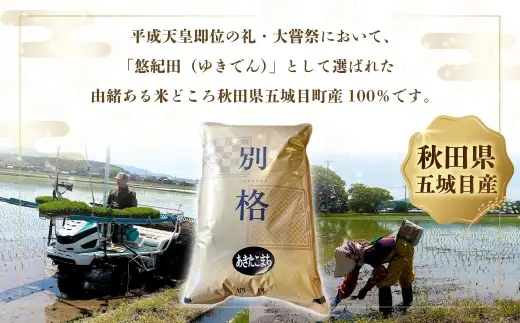 【 新米予約 】 R8 「 悠紀の国 」 秋田県五城目町産あきたこまち 10㎏ 5kg × 2袋 【2026年10月上旬から2027年11月下旬発送予定】 お米 米 こめ コメ 白米 精米 白飯 飯 ご飯 あきたこまち おにぎり ブランド米 ブランド 国産 秋田県産