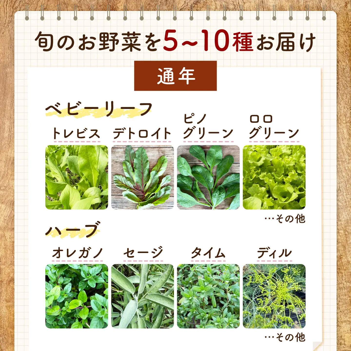 野菜 季節の野菜詰め合わせ [BAHK001] 野菜 