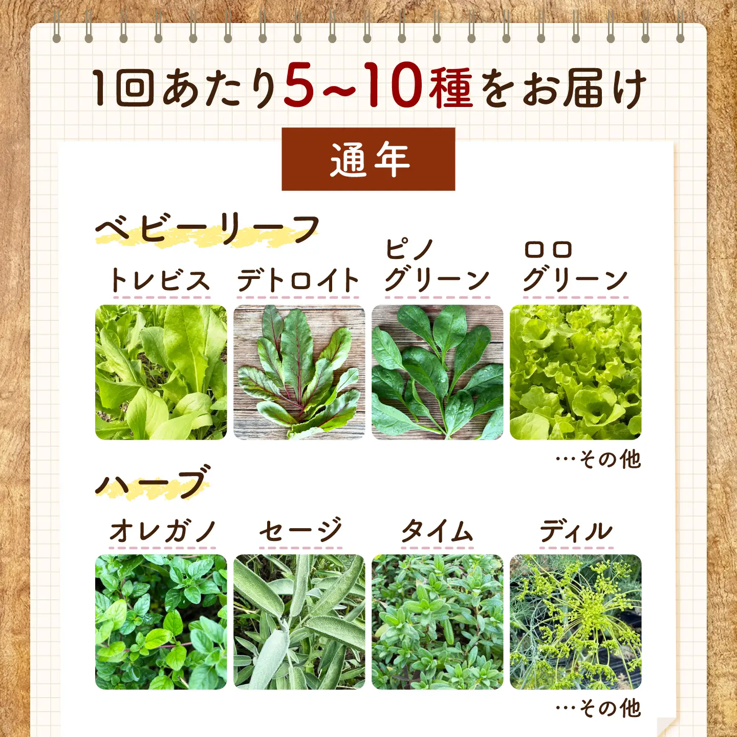 野菜 【全2回定期便】季節の野菜詰め合わせ [BAHK002] 野菜