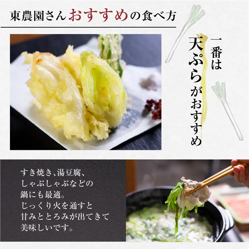 【先行予約】飛騨一本葱 プレミアム5キロ（15本‐20本） 葱 ねぎ JY005