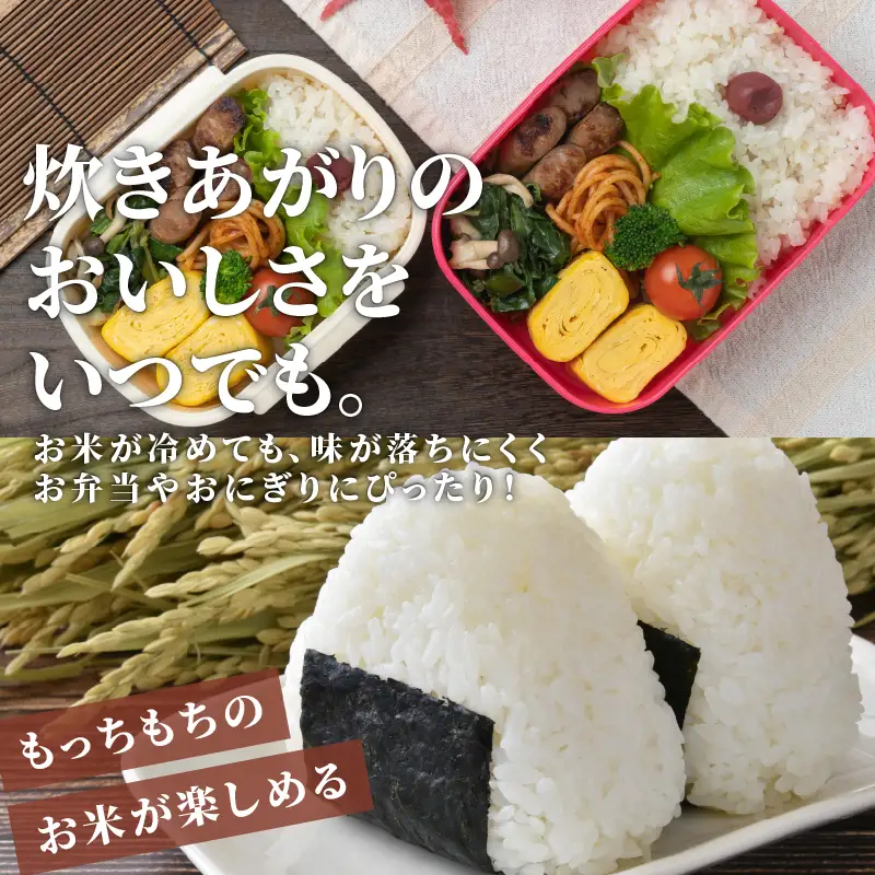 米 ひとめぼれ 10kg 8年産 精米 ひとめぼれ