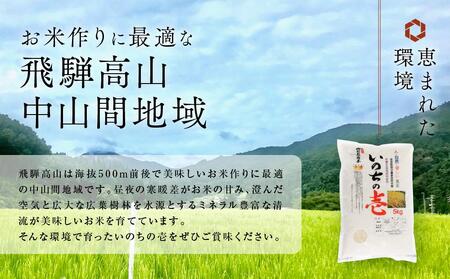 【定期便】飛騨高山産 いのちの壱（白米）5kg×12ケ月 | 粒が大きい いのちの壱  AU110