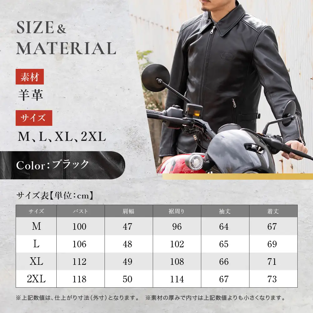 【デグナー】レザージャケット 細身シルエット 2XL 京都 バイクギア 人気ブランド バイク [26SJ-9] 